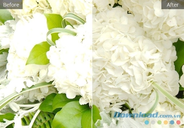 Liệu bạn có còn nhận ra bức ảnh gốc bị chụp cháy sáng này?