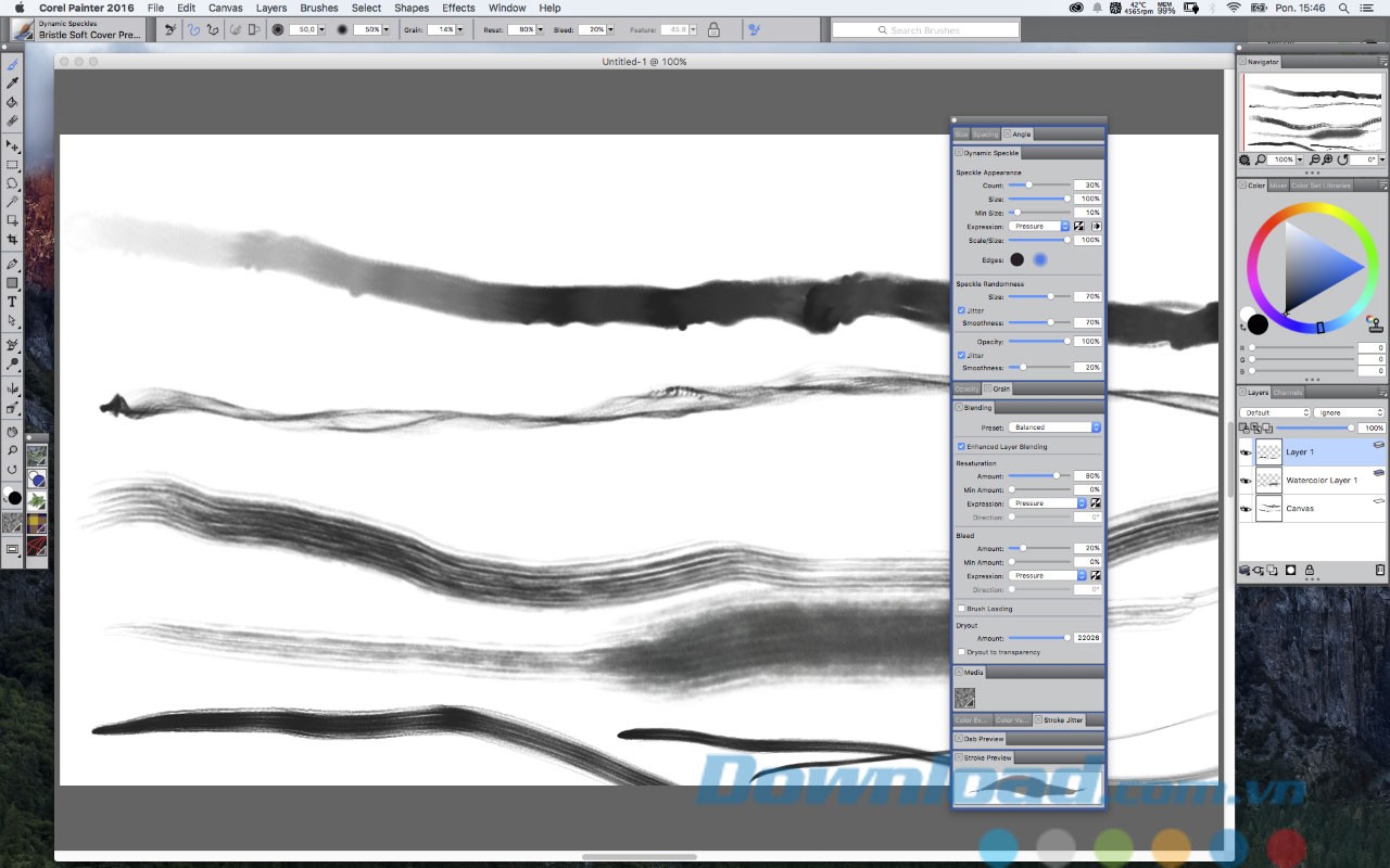 Nhiều cọ vẽ mới