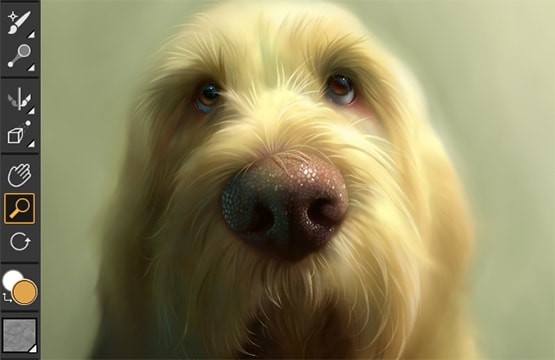 Corel Painter hỗ trợ kéo thả