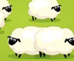 Count the Sheep - Đếm số cừu