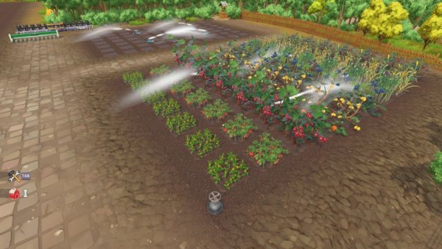 Tự tay chăm sóc cây trồng, vật nuôi để sẵn sàng cho thu hoạch