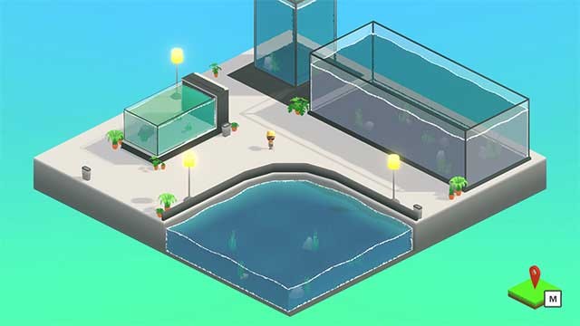 Câu để phát triển bộ sưu tập cá cảnh của mình trong nhiều môi trường