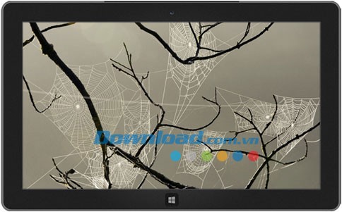 Creepy Cobwebs theme