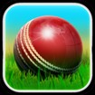 Cricket 3D World Street Challenge - Free Street Cricket Game