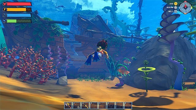 Lặn biển hoặc chèo thuyền để khám phá đại dương bao la