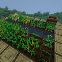Crops Love Rain Mod: Tăng tốc độ phát triển cây khi trời mưa