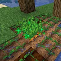 Croptosis Mod: Tăng trưởng cây trồng hiệu quả