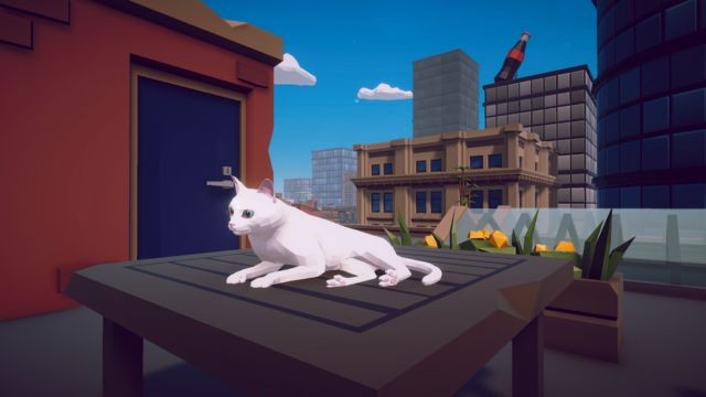 Chăm sóc những người bạn lông lá và cho chúng cuộc sống tốt nhất