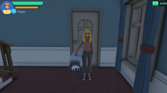 Sắp xếp và trang trí ngôi nhà mèo con hợp lý