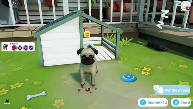 Mỗi chú chó đều có tính cách độc đáo riêng