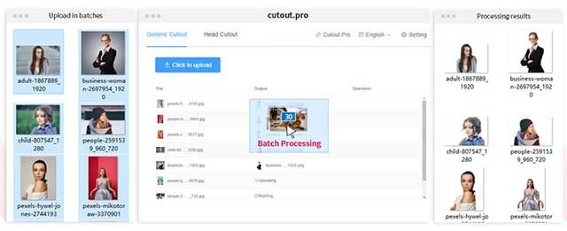 Loại bỏ người và các vật thể khác một cách nhanh chóng với Cutout Pro