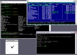 Cygwin 3.1.4-1: Giả lập Linux trên Windows