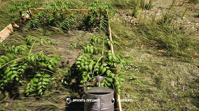 Tự tay chăm sóc những luống rau, luống hoa trong khu vườn yên tĩnh