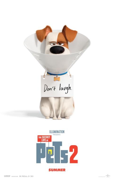 Ảnh thú cưng trong Poster The Secret Life of Pets 2