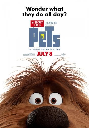 The Secret Life of Pets 14