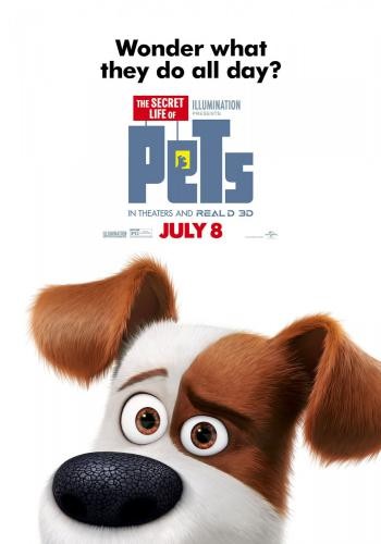 The Secret Life of Pets 15