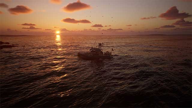 Trải nghiệm sự im lặng đáng sợ của đại dương sâu thẳm