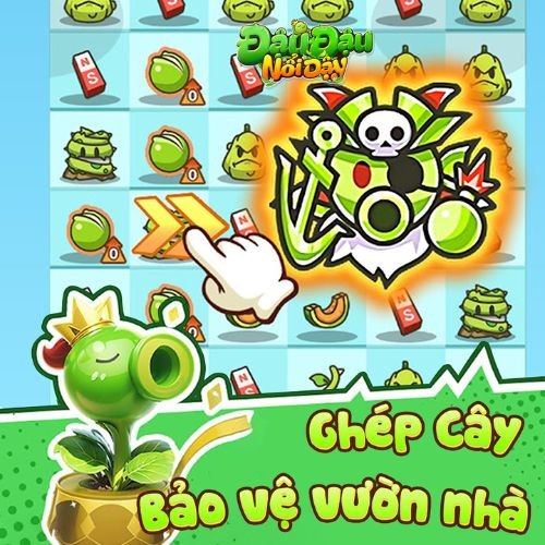 Thực hiện ghép cây, bảo vệ khu vườn