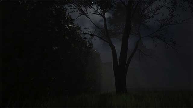 Điều gì đang chờ đợi bạn trong bóng tối?