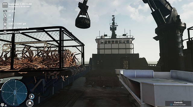 Phân loại, tìm ra những con cua chất lượng nhất để bán và trở thành triệu phú