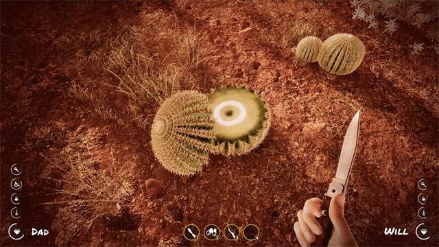 Tìm thức ăn và nước uống để sống sót trên sa mạc nóng bỏng