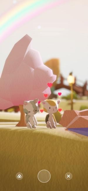 Xem chúng thể hiện yêu thương với nhau