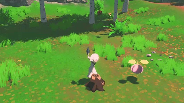 Khu rừng cho bạn nhiều tài nguyên, những người bạn mới bên cạnh các mối đe dọa nguy hiểm