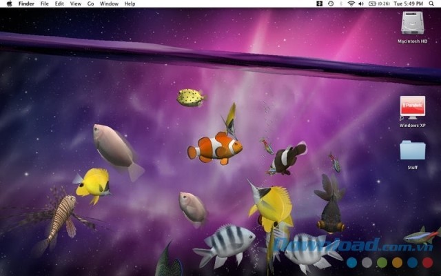 Sở hữu bể cá lung linh chỉ bằng vài cú nhấp chuột cùng Desktop Aquarium 3D cho Mac