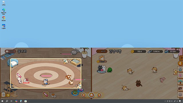 Trang trí căn phòng mèo con bằng đồ nội thất, item các loại