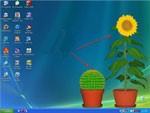 Desktop Plant - Bring Nature to Your Workspace