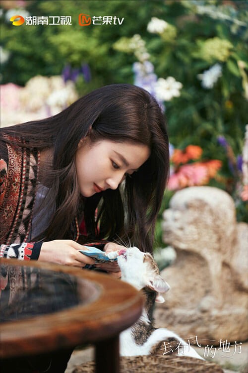 Lưu Diệc Phi trong vai Hứa Hồng Đậu