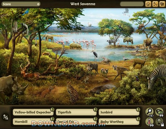 Disney Animal Kingdom