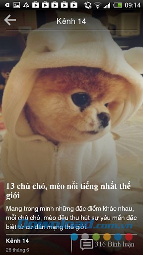 Đọc tin Pega for Android