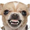 Dog Effects for iOS 1.0 - Hiệu ứng ảnh cún cưng cho iPhone/iPad
