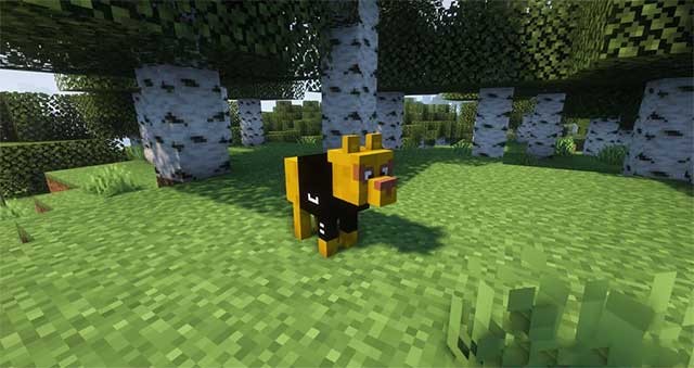 Nhận được các thành tích dựa trên mối quan hệ của bạn với các chú chó