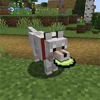 Doggo Mod: Chơi đùa và Huấn luyện Chó Cưng