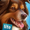 DogHotel Lite cho Android - Game Nuôi Chó Hoành Tráng
