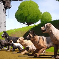 Dogs Club: Game Đua Chó Parkour Hấp Dẫn