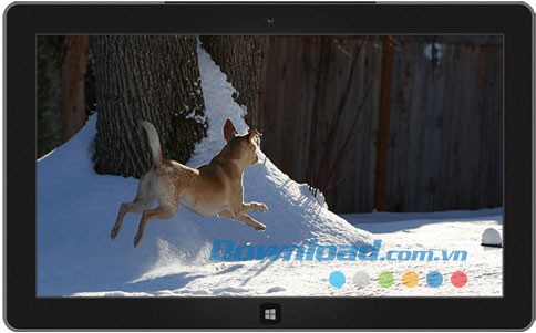 Dogs in Winter theme