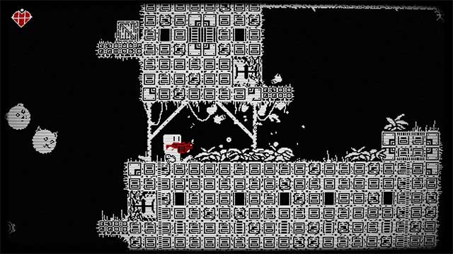 Khám phá một thế giới bí ẩn nơi tất cả các sinh vật sống đều là chó