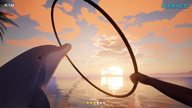Chăm sóc cá heo và dạy chúng những động tác biểu diễn nghệ thuật thú vị trong Dolphin Trainer VR game