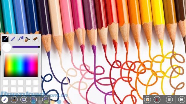 Nhiều lựa chọn đầu bút