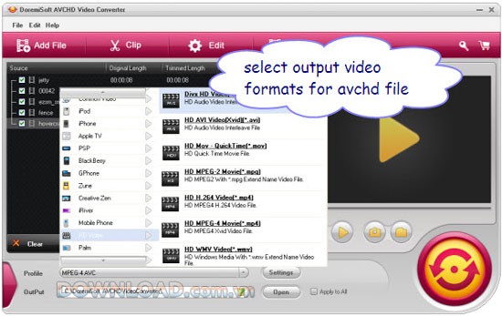 Doremisoft AVCHD Video Converter