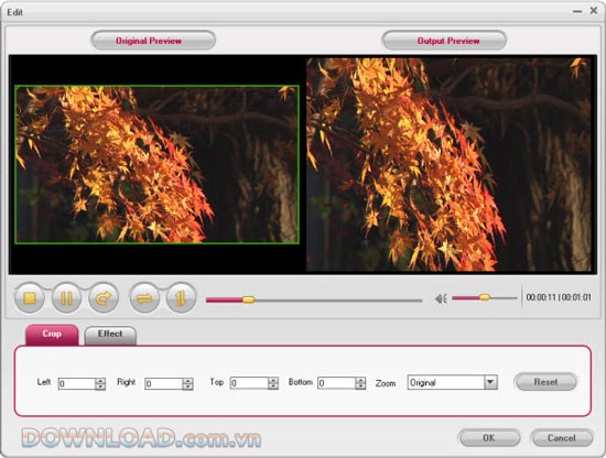 Doremisoft AVCHD Video Converter