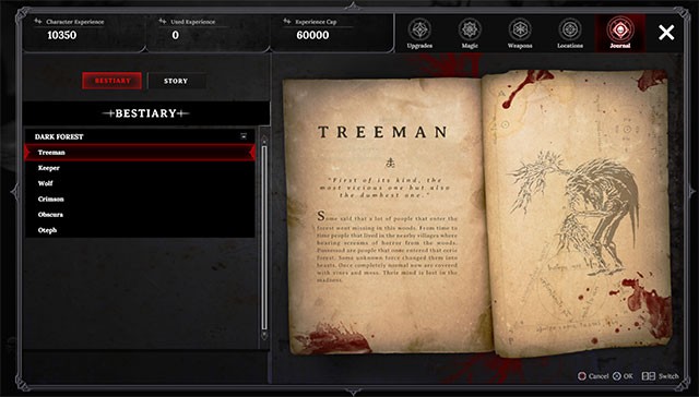 Kết hợp kiếm thuật và ma thuật trong chiến đấu