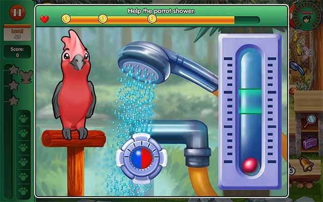 Chữa bệnh cho các loài vật và đẩy lùi dịch bệnh trong thị trấn