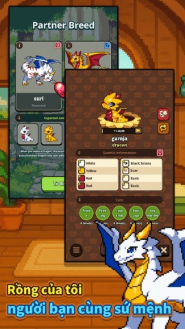 Rồng của tôi, người bạn cùng sứ mệnh