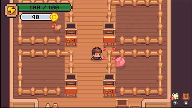 Trồng cây, chăm sóc động vật và khám phá