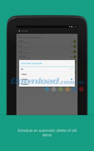 Dumpster Image & Video Restore