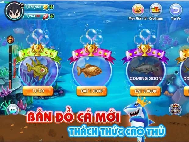 Bản đồ cá mới thách thức cao thủ